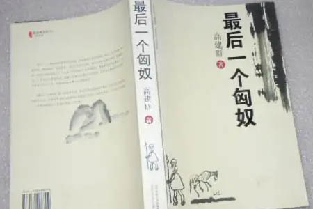 《最后一个匈奴》读后感：特殊地域的世纪史