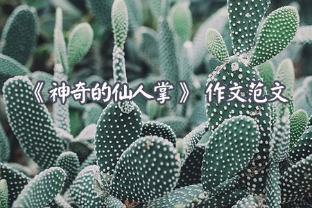 《神奇的仙人掌》作文范文